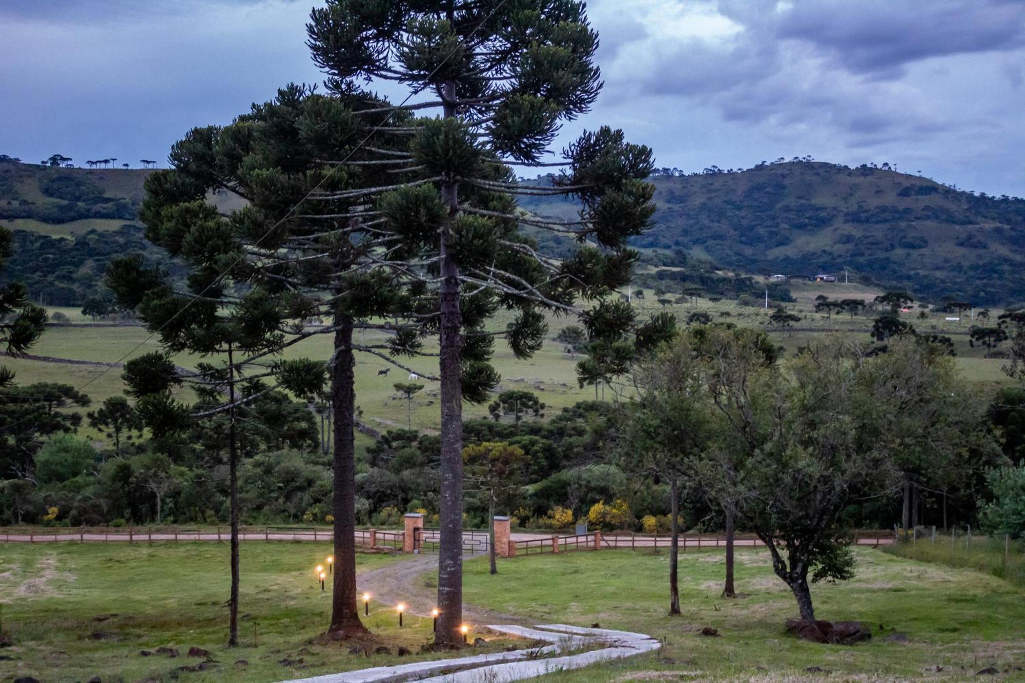 Casas Rainha Da Serra 02 Dorm Casal E Cozinha Urubici Zewnętrze zdjęcie